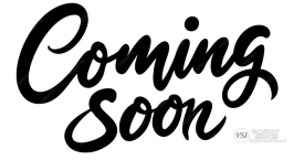 Limitless Sky Travel